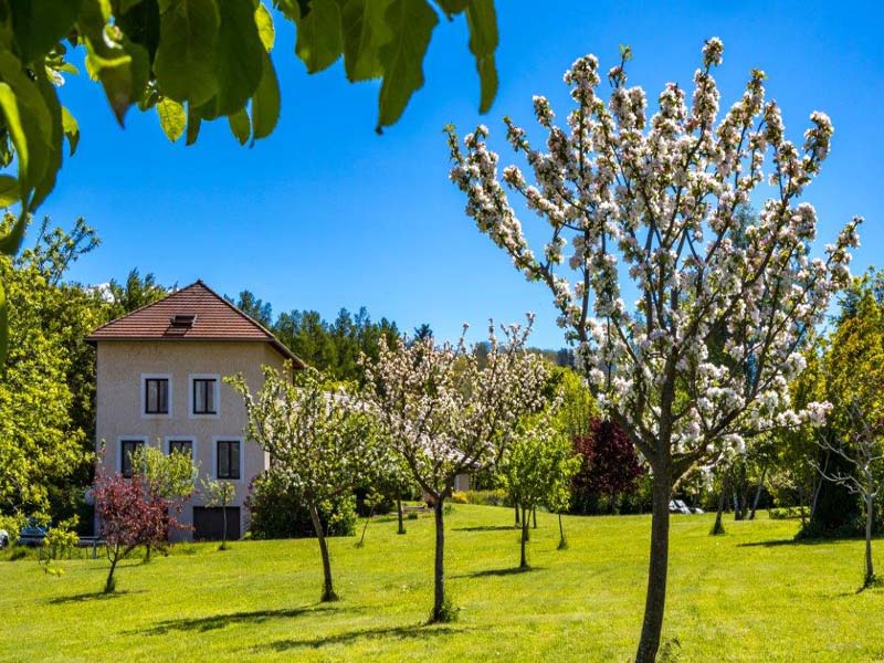 Chambres d'hôtes Clark saint bonnet en champsaur 05500 N° 1