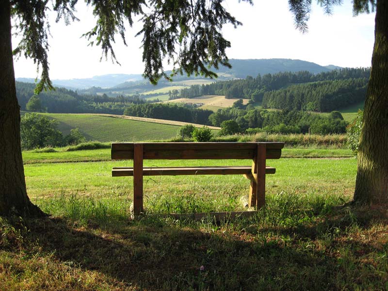 Chambres d'hôtes Cambourian ronno 69550 N° 5