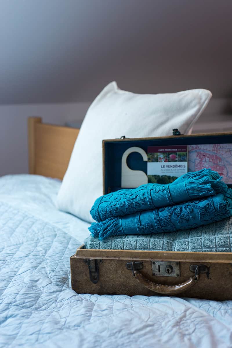 Chambres d'hôtes Boy vendome 41100 N° 9