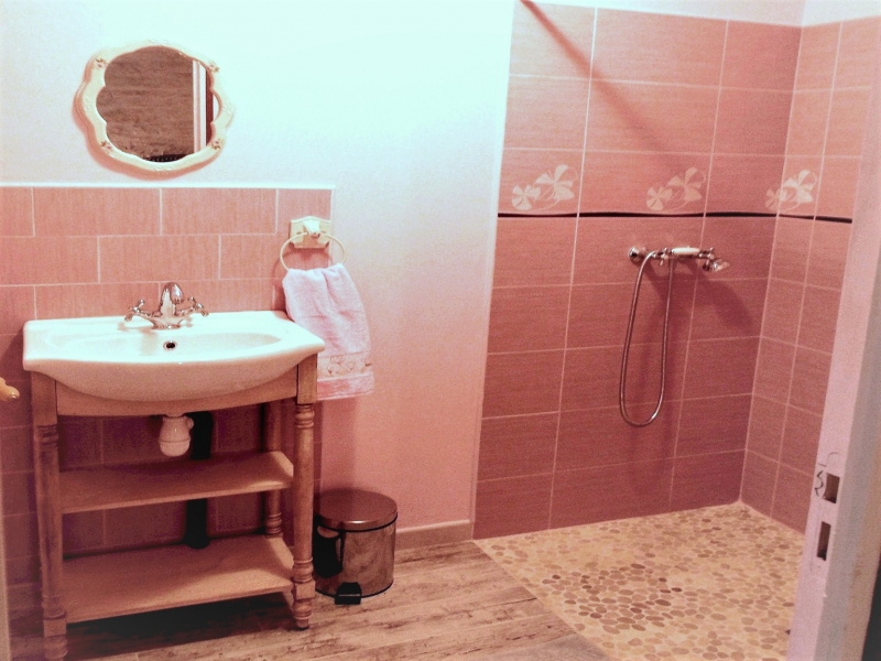 Chambres d'hôtes Camarzana andilly 17230 N° 10