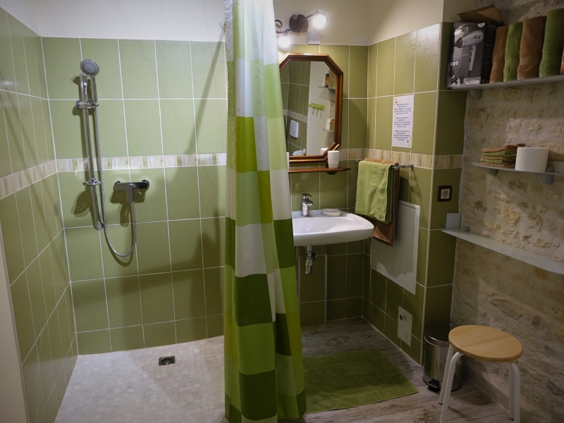 Chambres d'hôtes Camarzana andilly 17230 N° 8