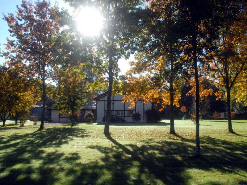 Chambres d'hôtes Labri sabres 40630 N° 9