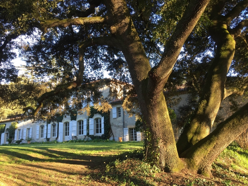 Chambres d'hôtes Tricon isle de noe 32300 N° 5