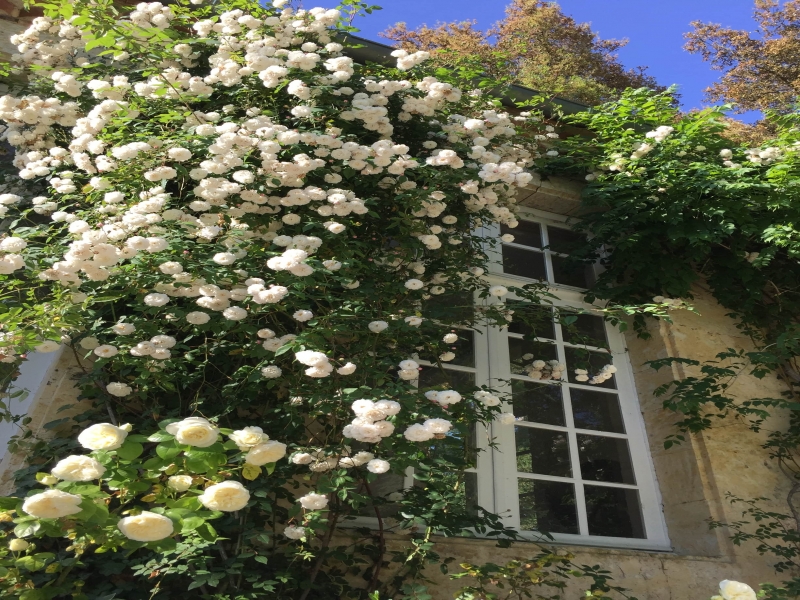 Chambres d'hôtes Tricon isle de noe 32300 N° 7