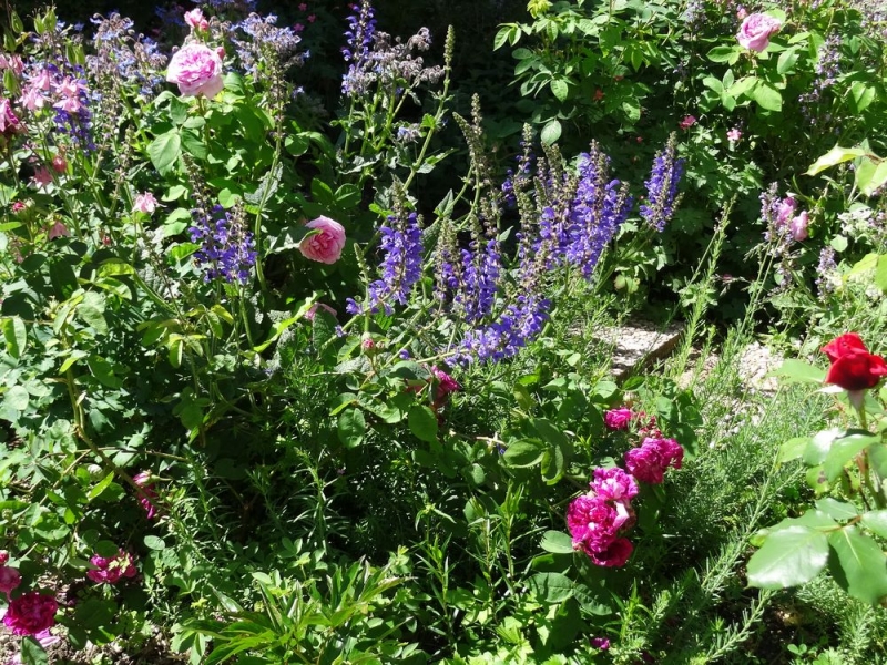 Chambres d'hôtes Pradines trampot 88350 N° 9