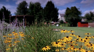 Chambres d'hôtes Brouhon aubrives 08320 N° 3