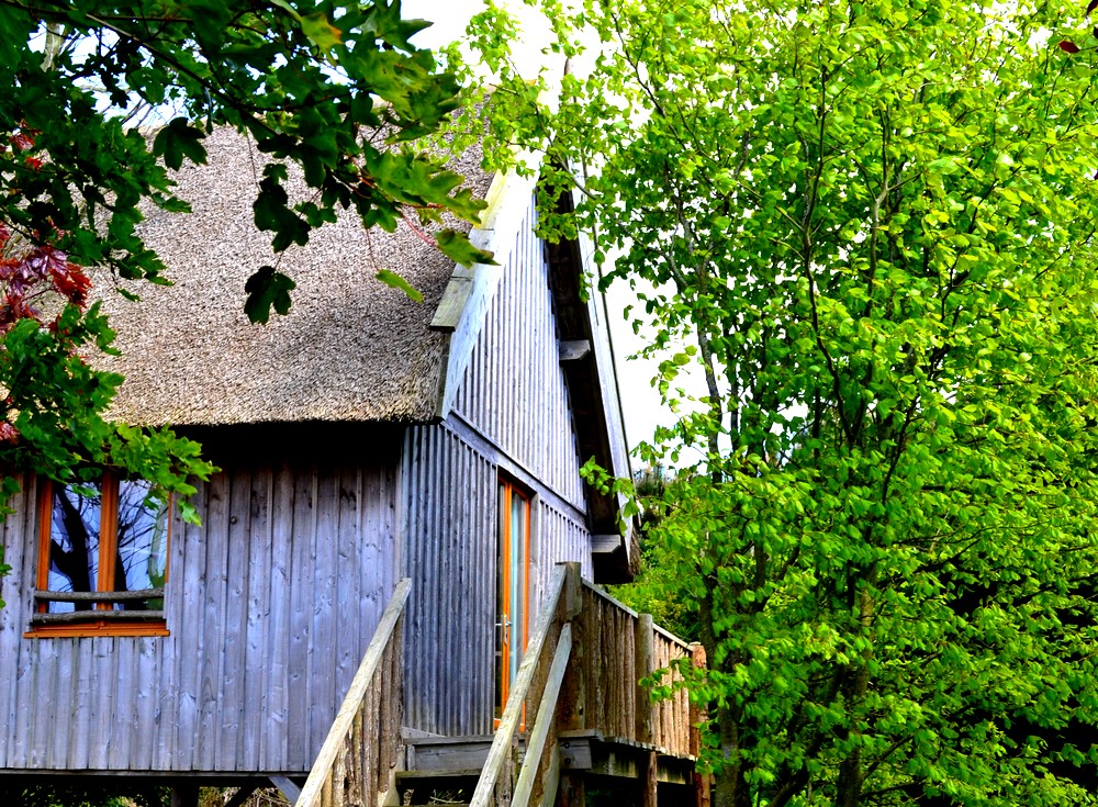 Chambres d'hôtes Le Tarnec lanildut 29840 N° 5