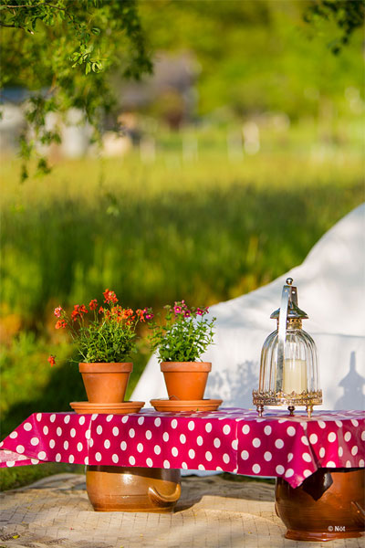 Chambres d'hôtes Couchou-Meillot vielle adour 65360 N° 4