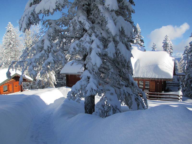 Chambres d'hôtes De Vos le revard 73230 N° 1