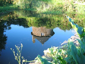 Chambres d'hôtes Ruidant litteau 14490 N° 6