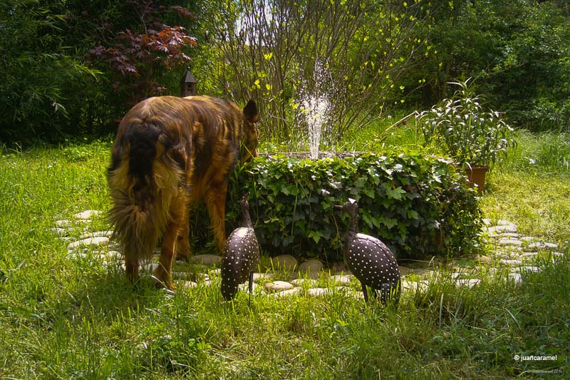 Chambres d'hôtes Luna-Paranque rognes 13840 N° 7