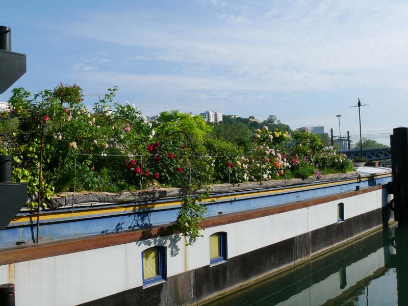 Chambres d'hôtes  lyon  2e  arrondissement 69002 N° 1