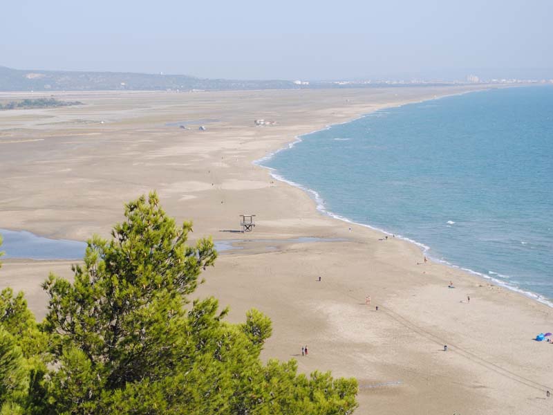 Chambres d'hôtes Galtier leucate 11370 N° 4