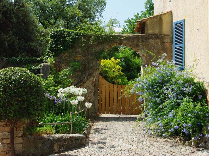 Chambres d'hôtes Martin hyeres 83400 N° 6