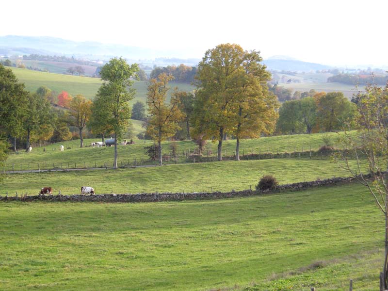 Chambres d'hôtes Michel longessaigne 69770 N° 5