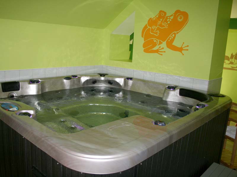 Chambres d'hôtes Souadet monthou sur cher 41400 N° 8