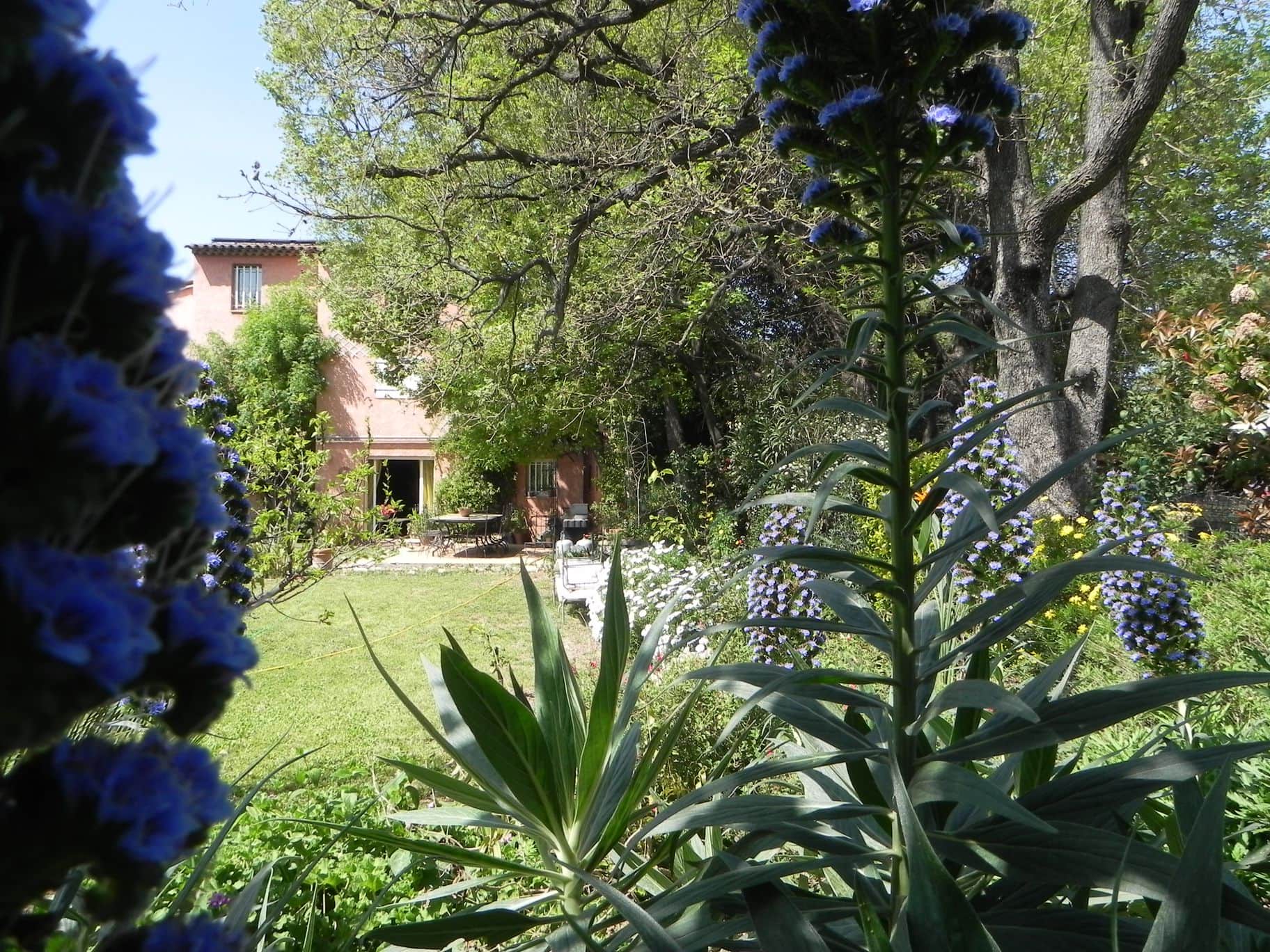 Chambres d'hôtes Vion saint raphael 83700 N° 2