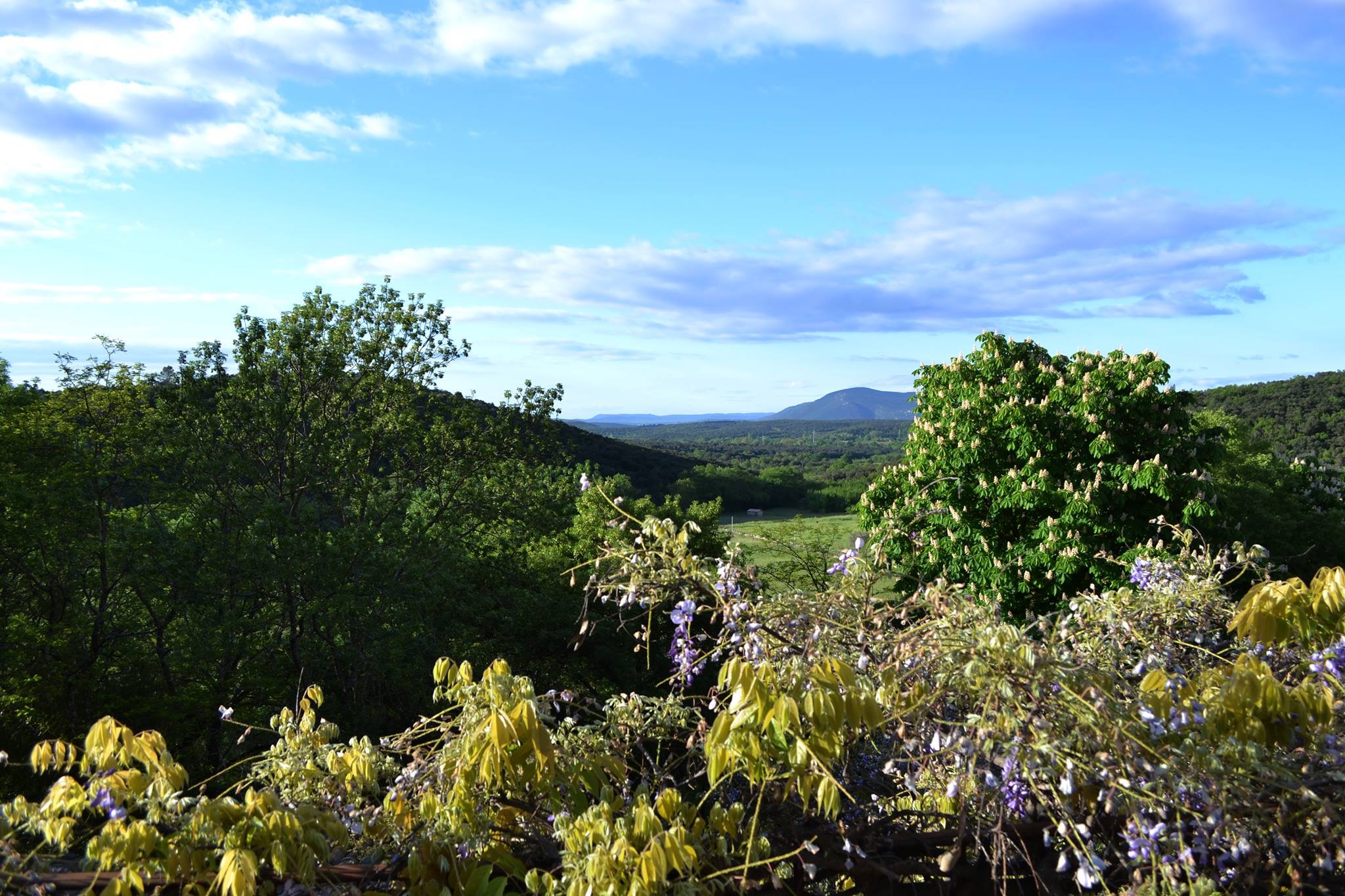 Chambres d'hôtes Aretz durfort et saint martin de sossenac 30170 N° 8